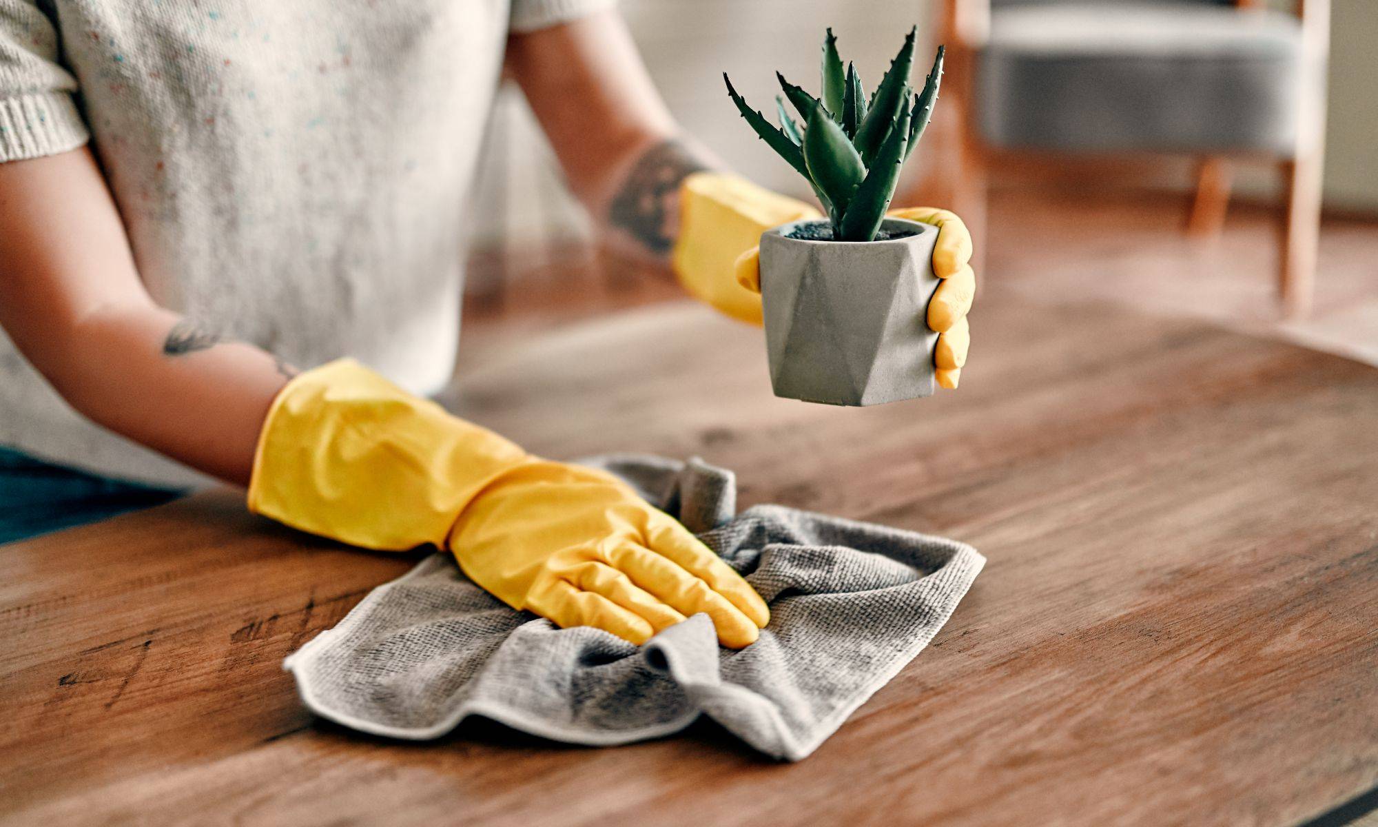 Beautiful Young Woman Makes Cleaning The House.